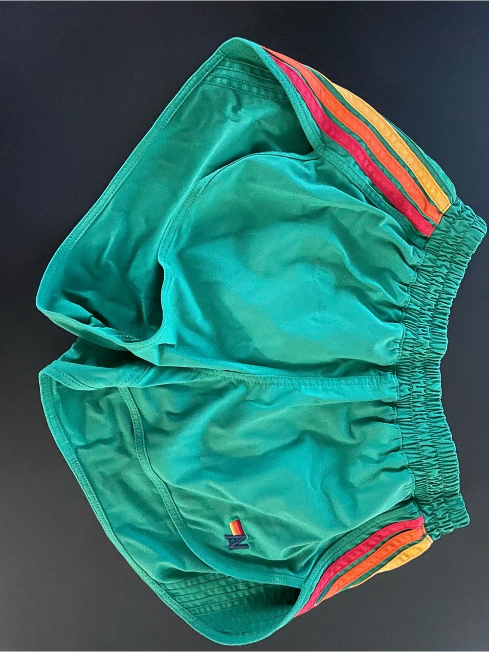 Aviator Nation green 5 strip flex Shorts with Rainbow Side Stripes